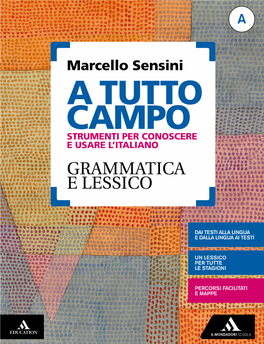 Grammatica E Lessico Campo