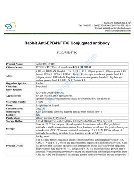 Rabbit Anti-EPB41/FITC Conjugated Antibody-SL20591R-FITC