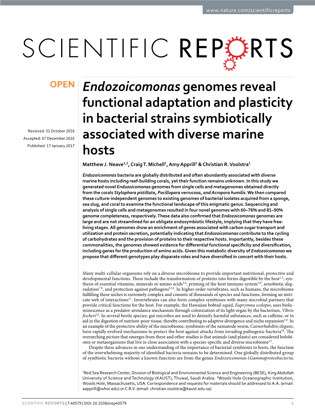 Endozoicomonas Genomes Reveal Functional Adaptation and Plasticity