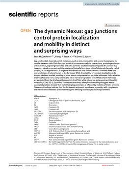 The Dynamic Nexus: Gap Junctions Control Protein Localization and Mobility in Distinct and Surprising Ways Sean Mccutcheon1,3*, Randy F