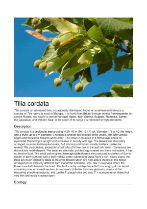 Tilia Cordata Tilia Cordata (Small-Leaved Lime, Occasionally Little-Leaved Linden Or Small-Leaved Linden) Is a Species of Tilia Native to Much of Europe