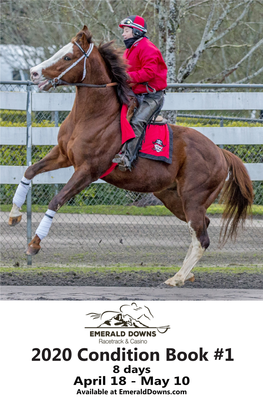 2020 Condition Book #1 8 Days April 18 - May 10 Available at Emeralddowns.Com #1 in SAME DAY SERVICE