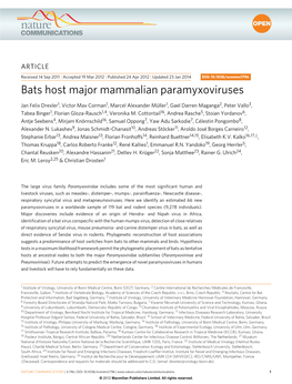 Bats Host Major Mammalian Paramyxoviruses