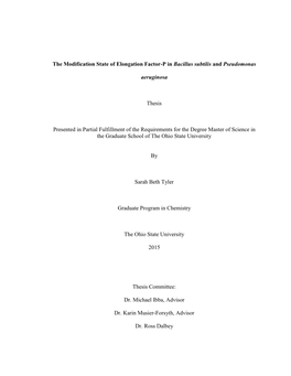 The Modification State of Elongation Factor-P in Bacillus Subtilis and Pseudomonas