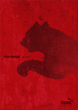 Footwear Q1 2013