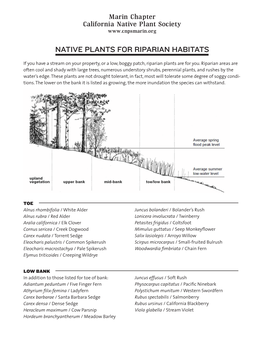 Riparian Habitats