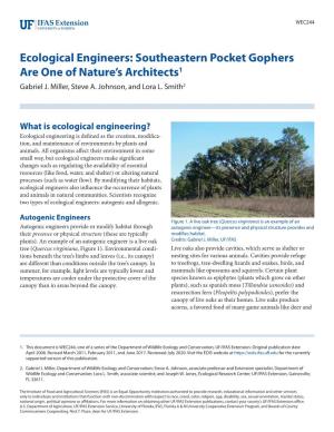 Ecological Engineers: Southeastern Pocket Gophers Are One of Nature’S Architects1 Gabriel J
