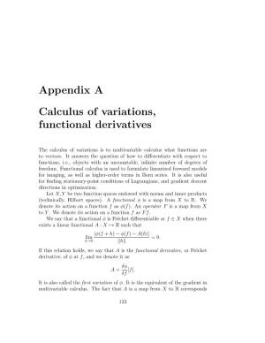 Appendix A: Calculus of Variations, Functional Derivatives