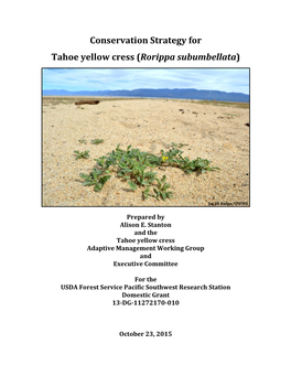 Conservation Strategy for Tahoe Yellow Cress (Rorippa Subumbellata)