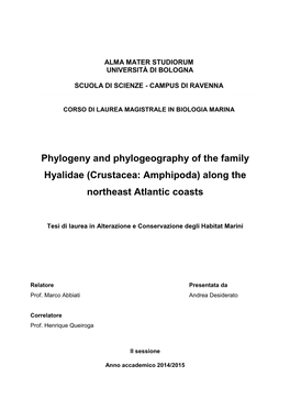 Phylogeny and Phylogeography of the Family Hyalidae (Crustacea: Amphipoda) Along the Northeast Atlantic Coasts