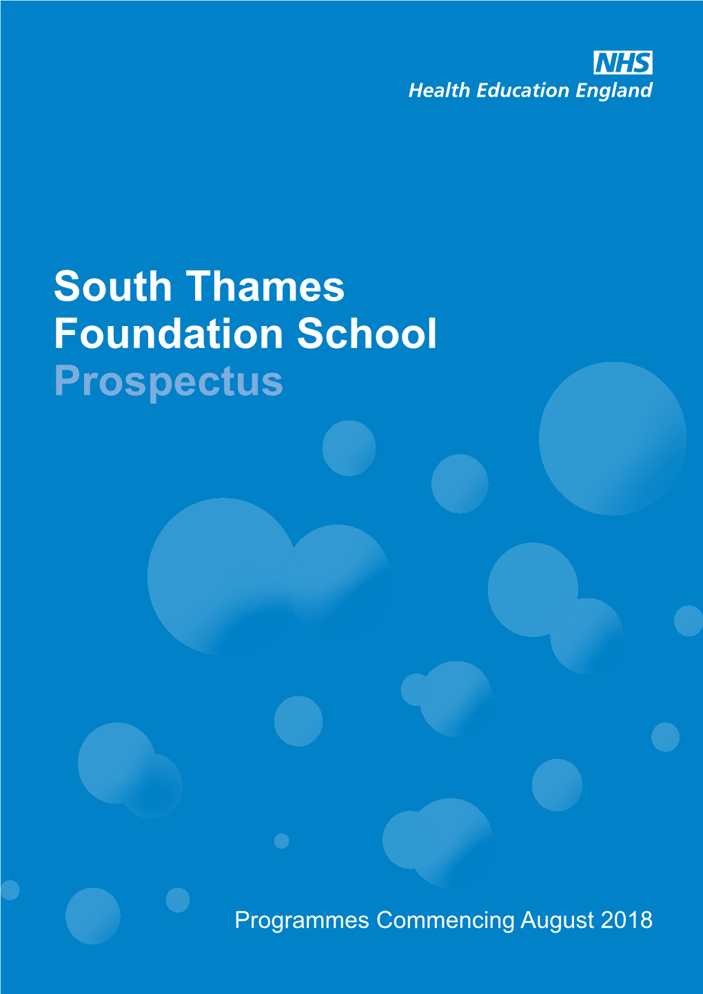 South Thames Foundation School Prospectus