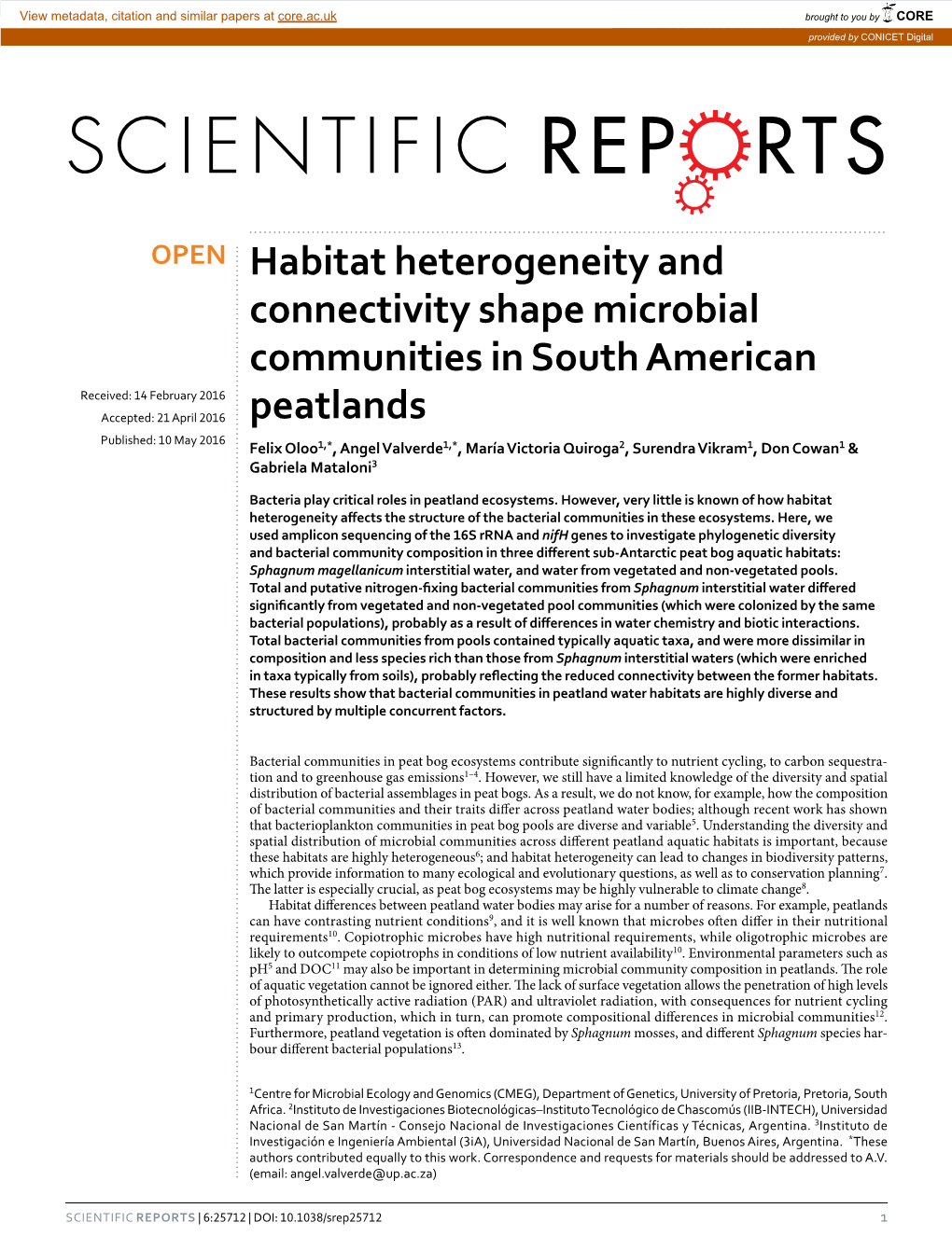 Habitat Heterogeneity and Connectivity Shape Microbial