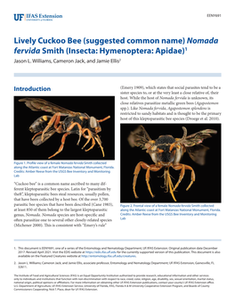 Lively Cuckoo Bee (Suggested Common Name) Nomada Fervida Smith (Insecta: Hymenoptera: Apidae)1 Jason L