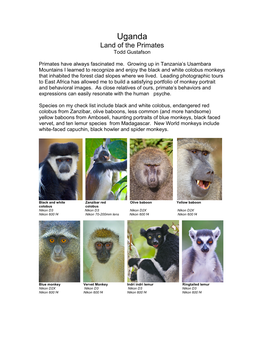 Uganda Land of the Primates Todd Gustafson