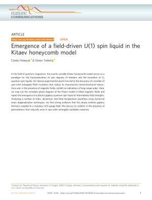 Spin Liquid in the Kitaev Honeycomb Model
