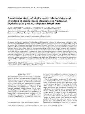 A Molecular Study of Phylogenetic Relationships and Evolution of Antipredator Strategies in Australian Diplodactylus Geckos, Subgenus Strophurus