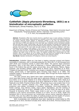 (Sepia Pharaonis Ehrenberg, 1831) As a Bioindicator of Microplastic Pollution Mardiansyah, Dimas Prasetyo, Lily S