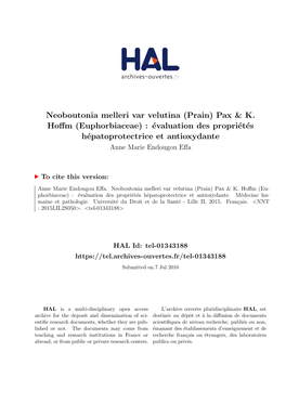 Neoboutonia Melleri Var Velutina (Prain) Pax & K. Hoffm (Euphorbiaceae) : Évaluation Des Propriétés Hépatoprotectrice Et