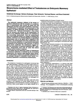 Mesenchyme-Mediated Effect of Testosterone on Embryonic Mammary Epithelium1