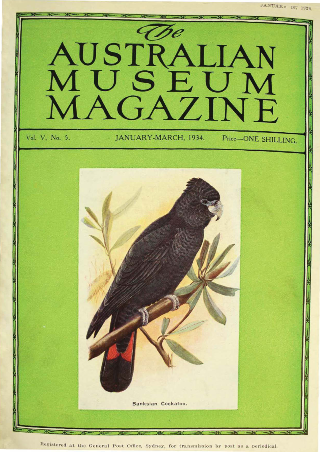 Australian Museum Magazine