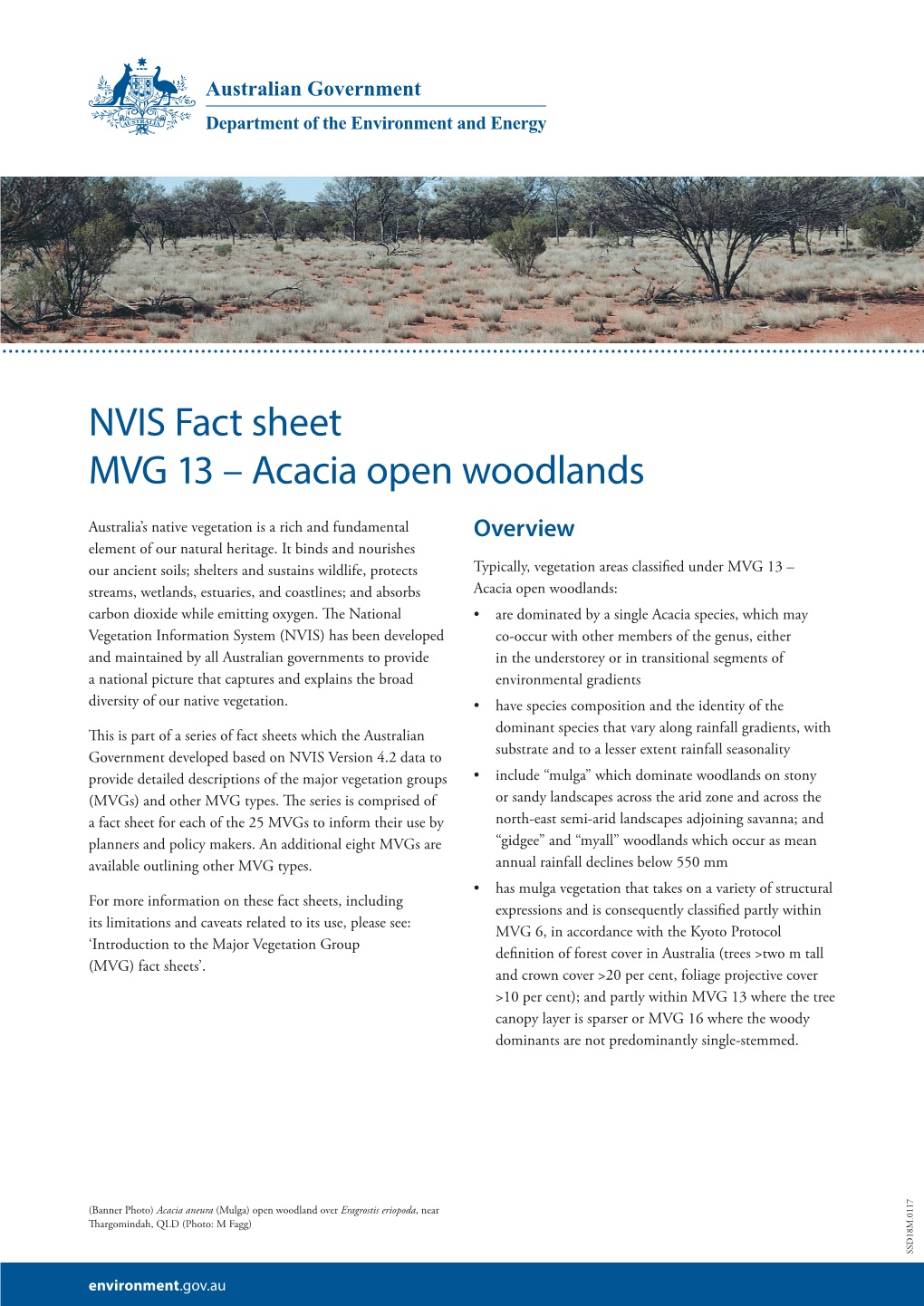 Acacia Open Woodlands