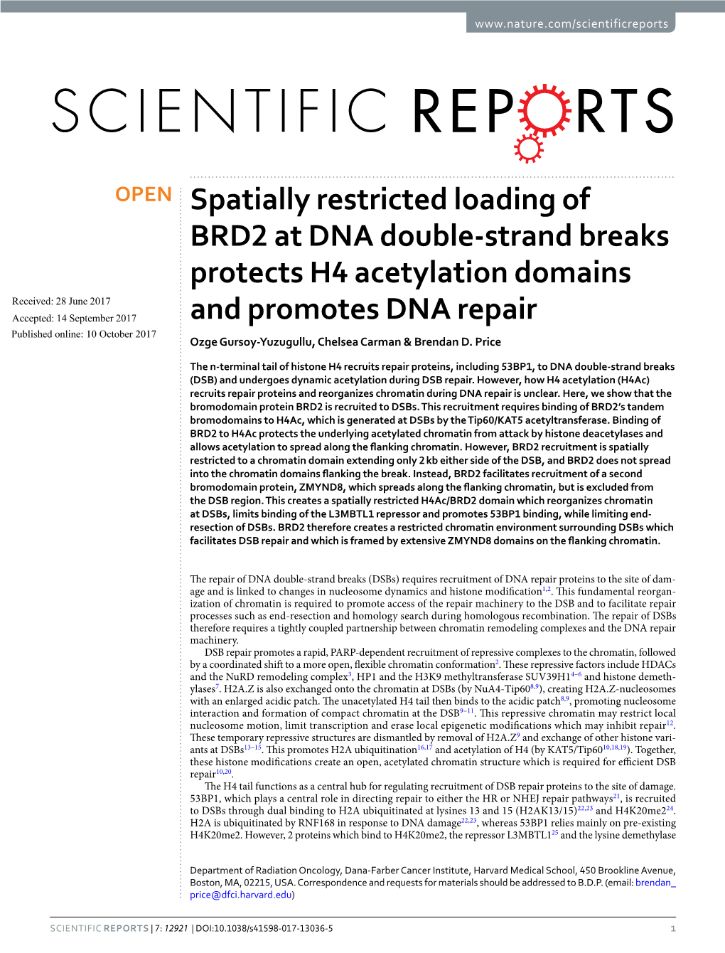 Spatially Restricted Loading of BRD2 at DNA Double-Strand Breaks Protects