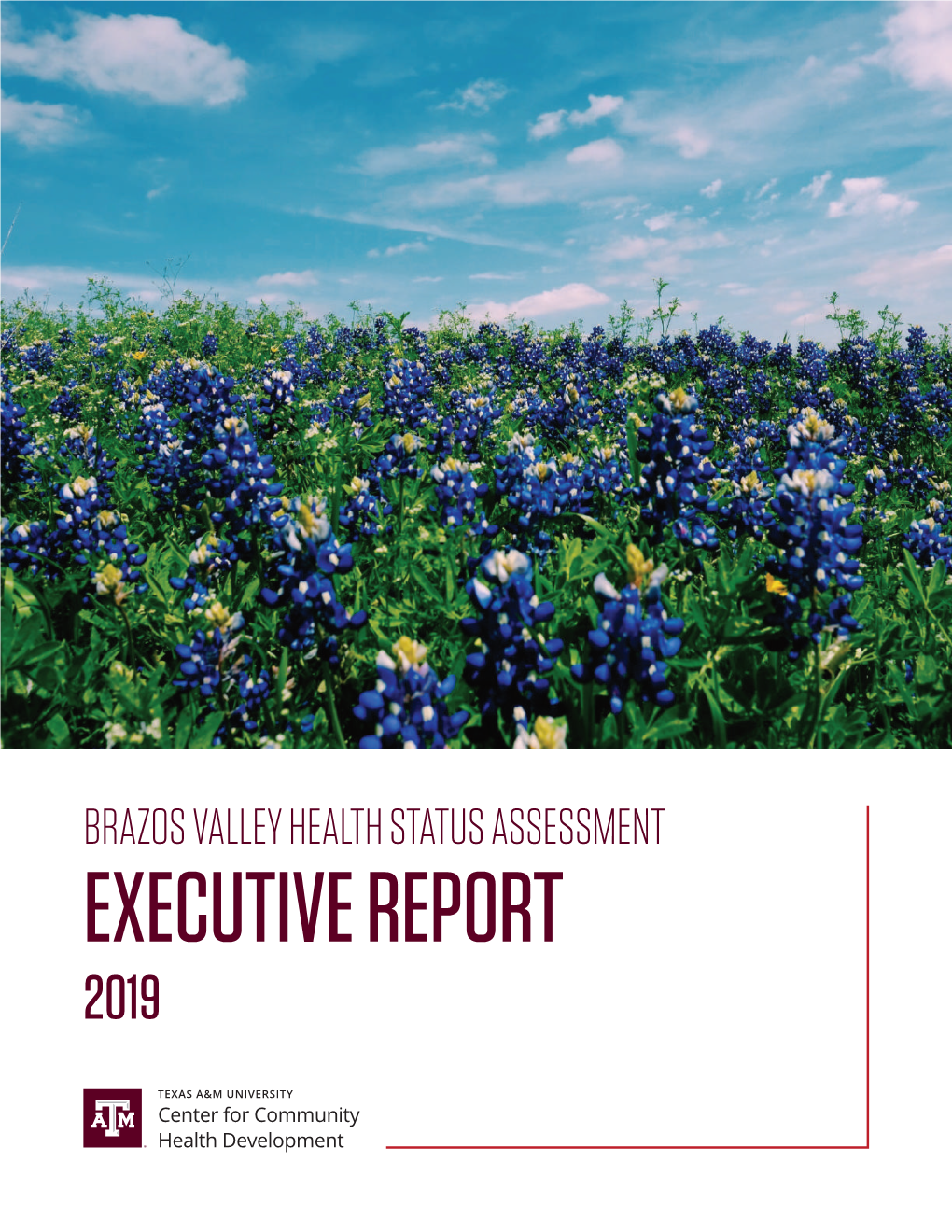 2019 Brazos Valley Health Assessment Report