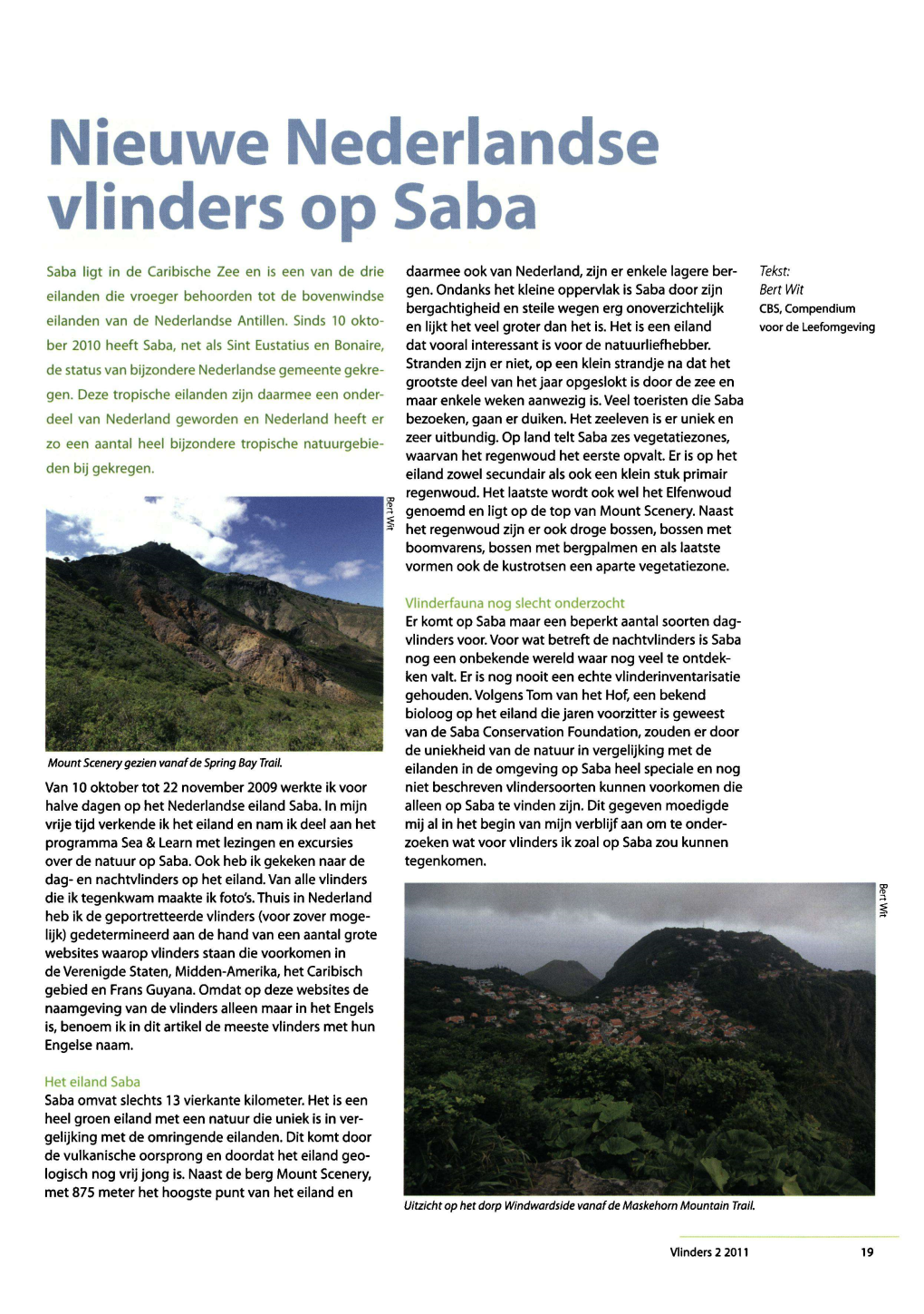 Vlinders Saba