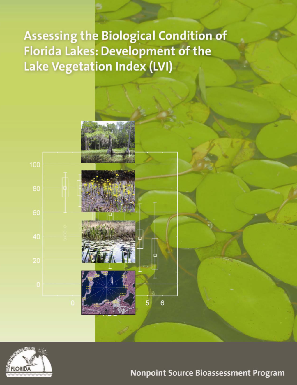 Development of the Lake Vegetation Index (LVI)