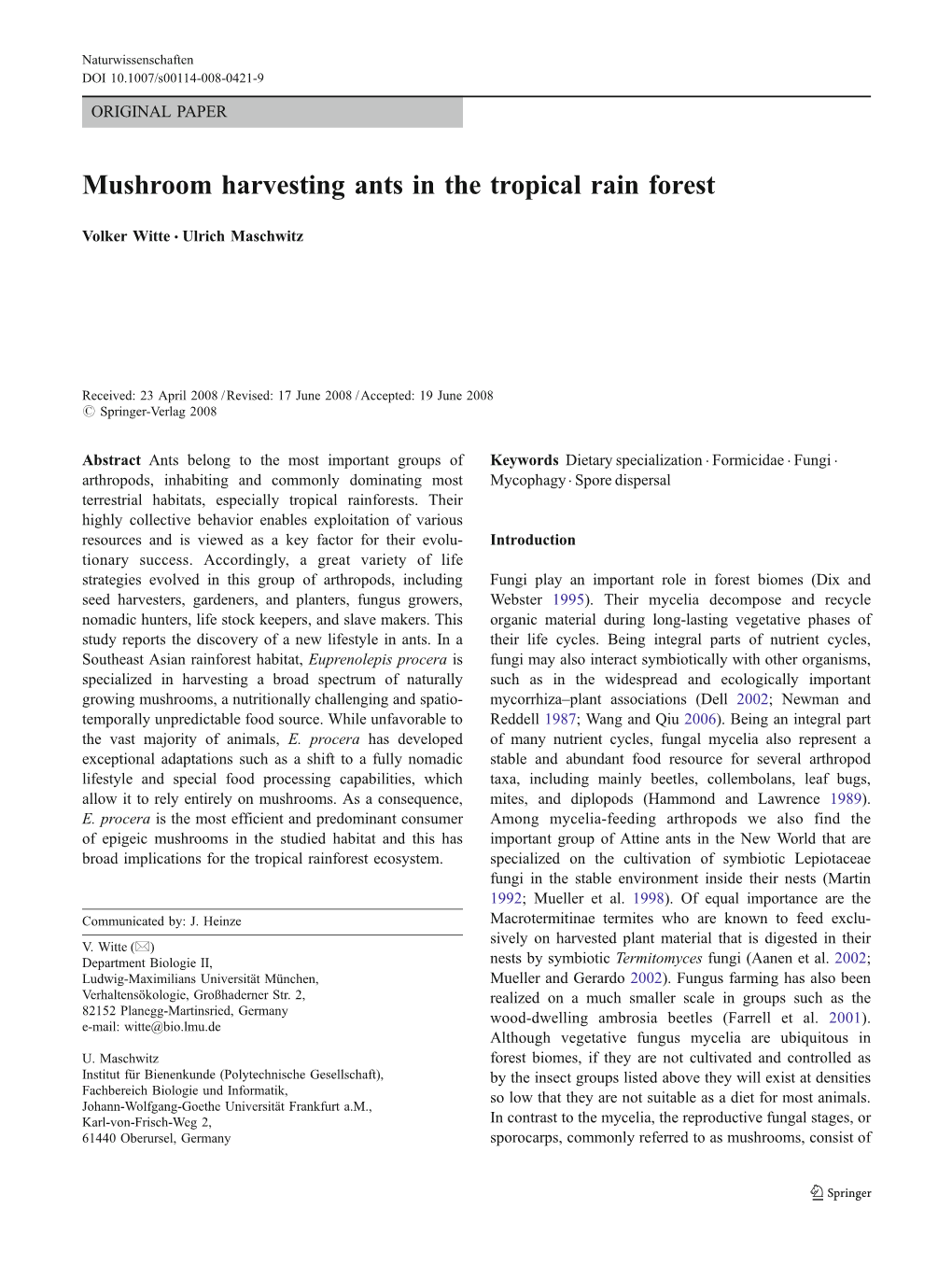 Mushroom Harvesting Ants in the Tropical Rain Forest