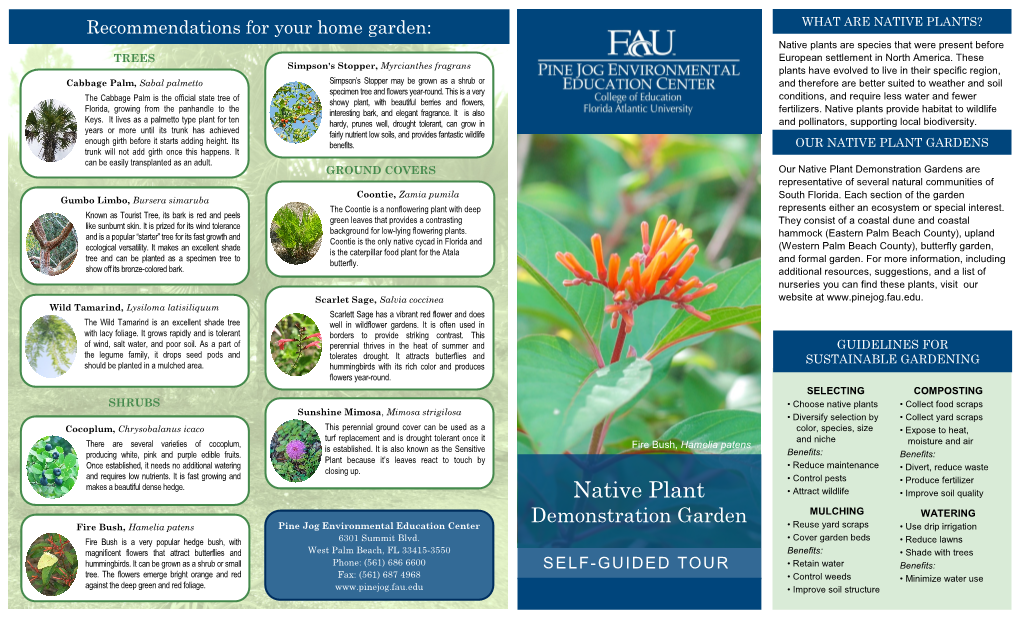 NATIVE PLANTS? Native Plants Are Species That Were Present Before TREES European Settlement in North America