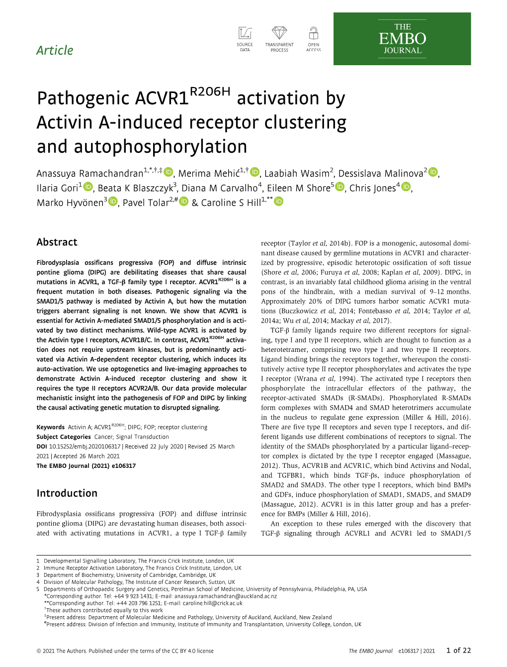 Pathogenic ACVR1R206H Activation by Activin A‐Induced Receptor