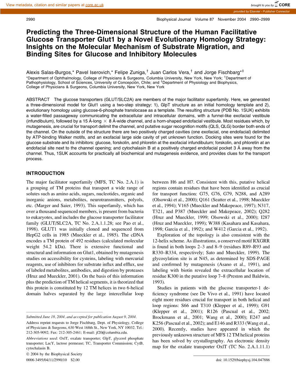 Predicting the Three-Dimensional Structure of the Human Facilitative Glucose Transporter Glut1 by a Novel Evolutionary Homology