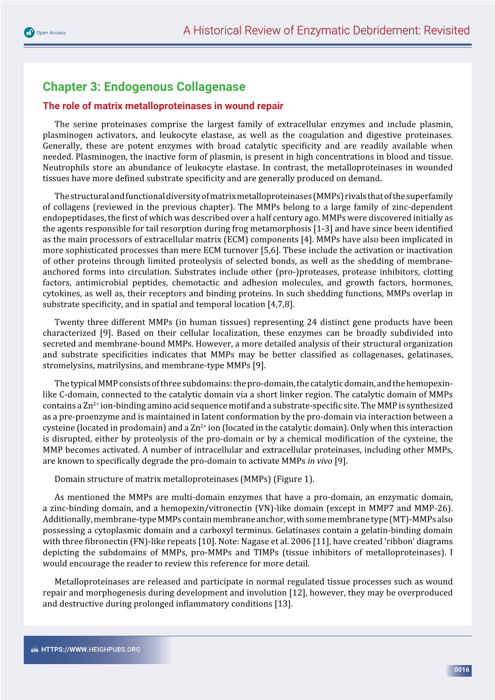 Chapter 3: Endogenous Collagenase