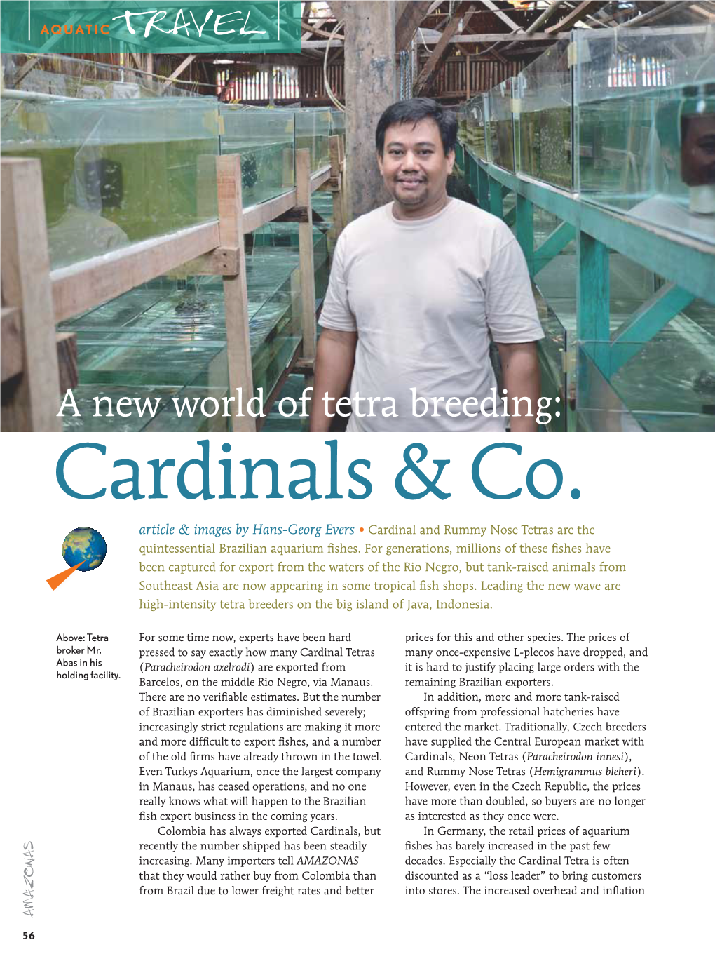 A New World of Tetra Breeding: Cardinals & Co