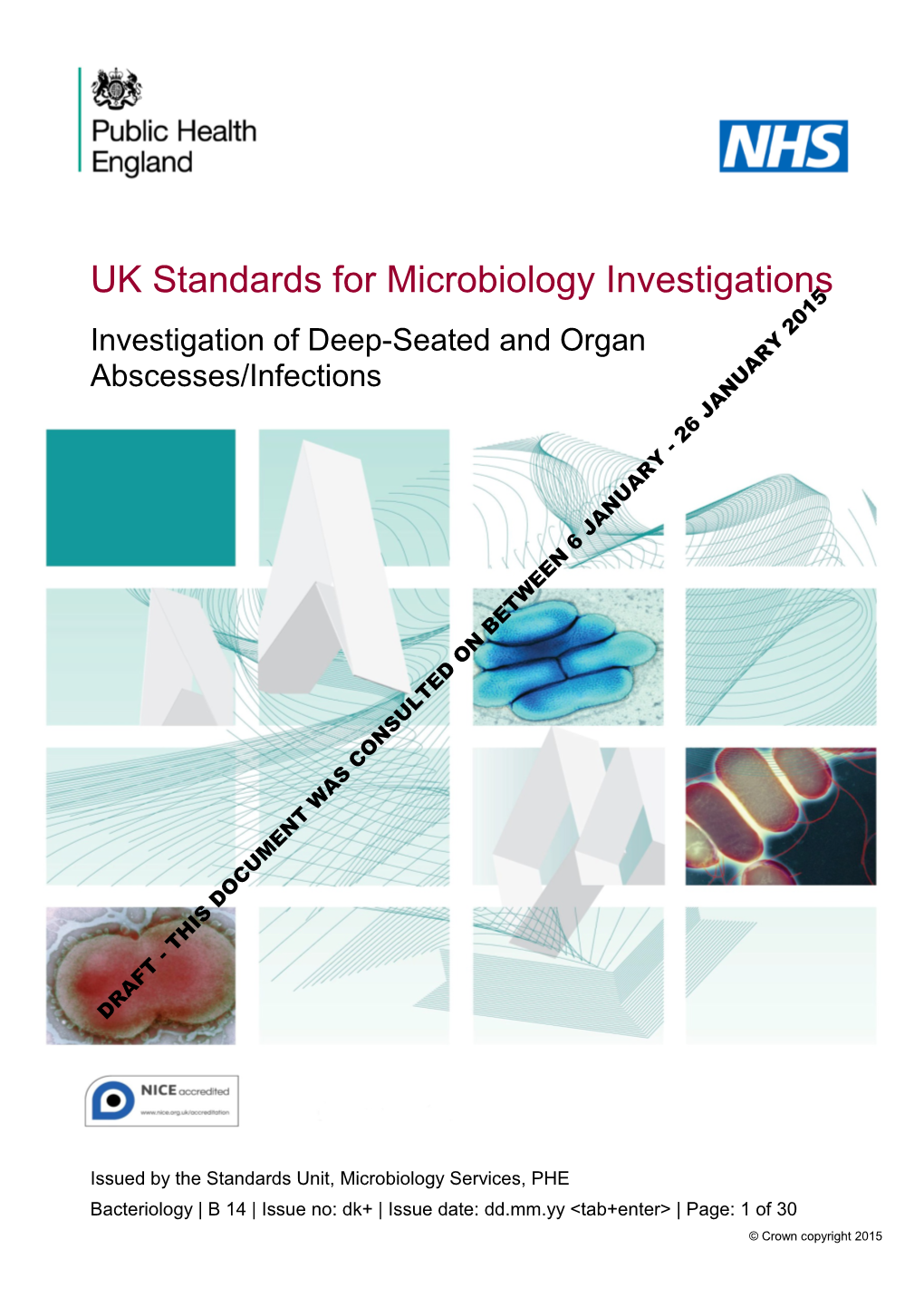 Investigation of Deep-Seated and Organ Abscesses/Infections