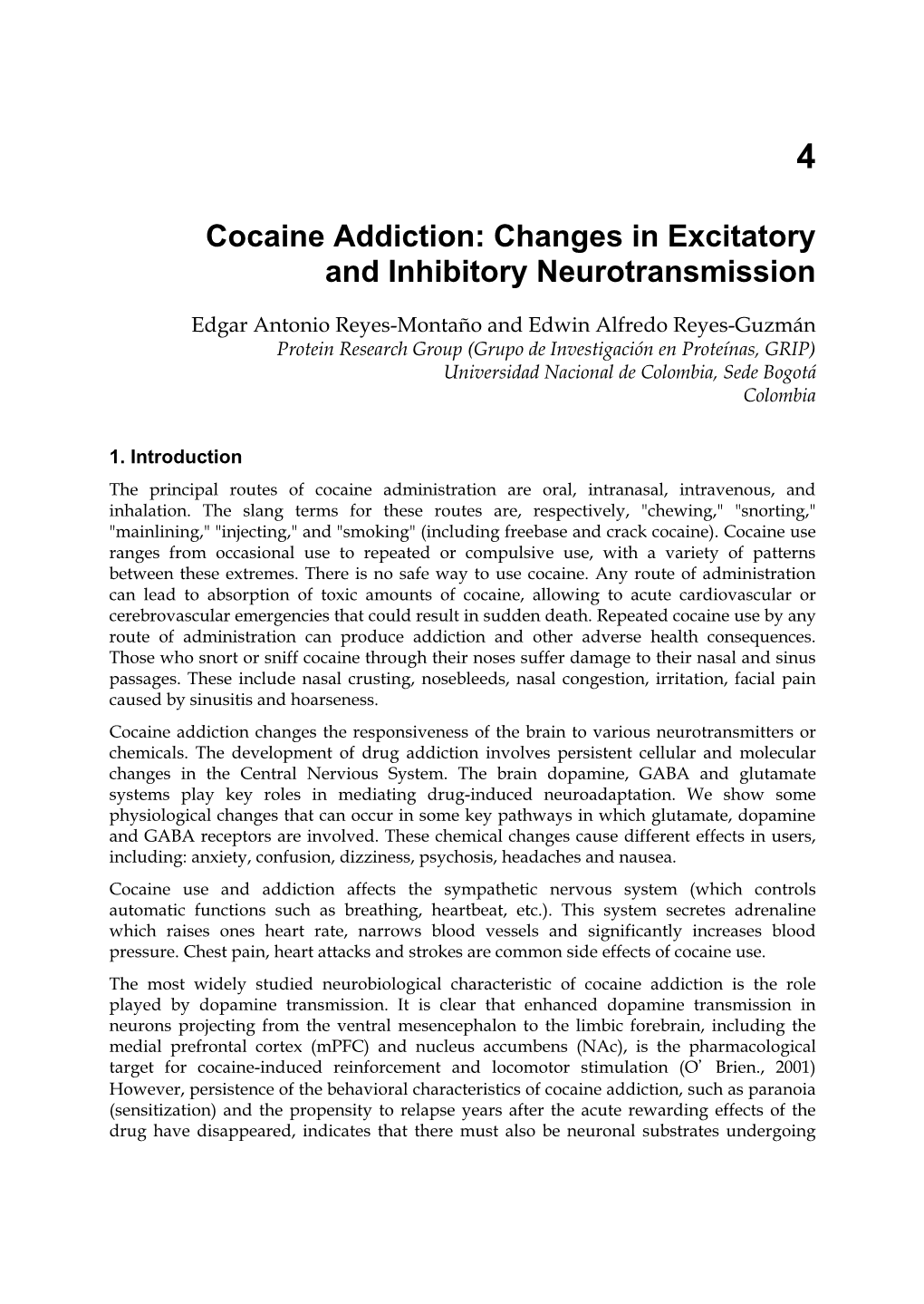 Cocaine Addiction: Changes in Excitatory and Inhibitory Neurotransmission