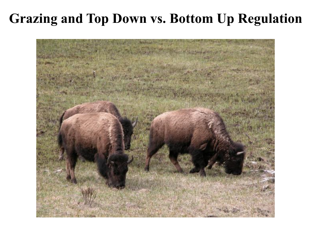 Grazing and Top Down Vs. Bottom up Regulation Grazers