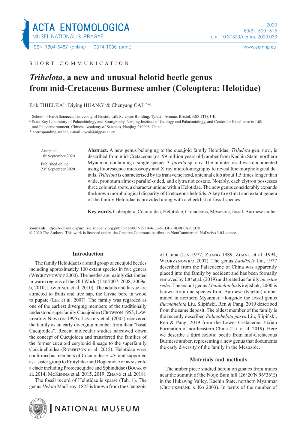 Trihelota, a New and Unusual Helotid Beetle Genus from Mid-Cretaceous Burmese Amber (Coleoptera: Helotidae)