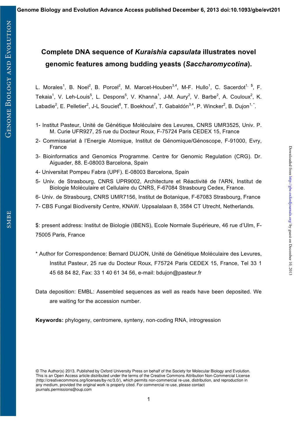 Complete DNA Sequence of Kuraishia Capsulata Illustrates Novel Genomic Features Among Budding Yeasts (Saccharomycotina)