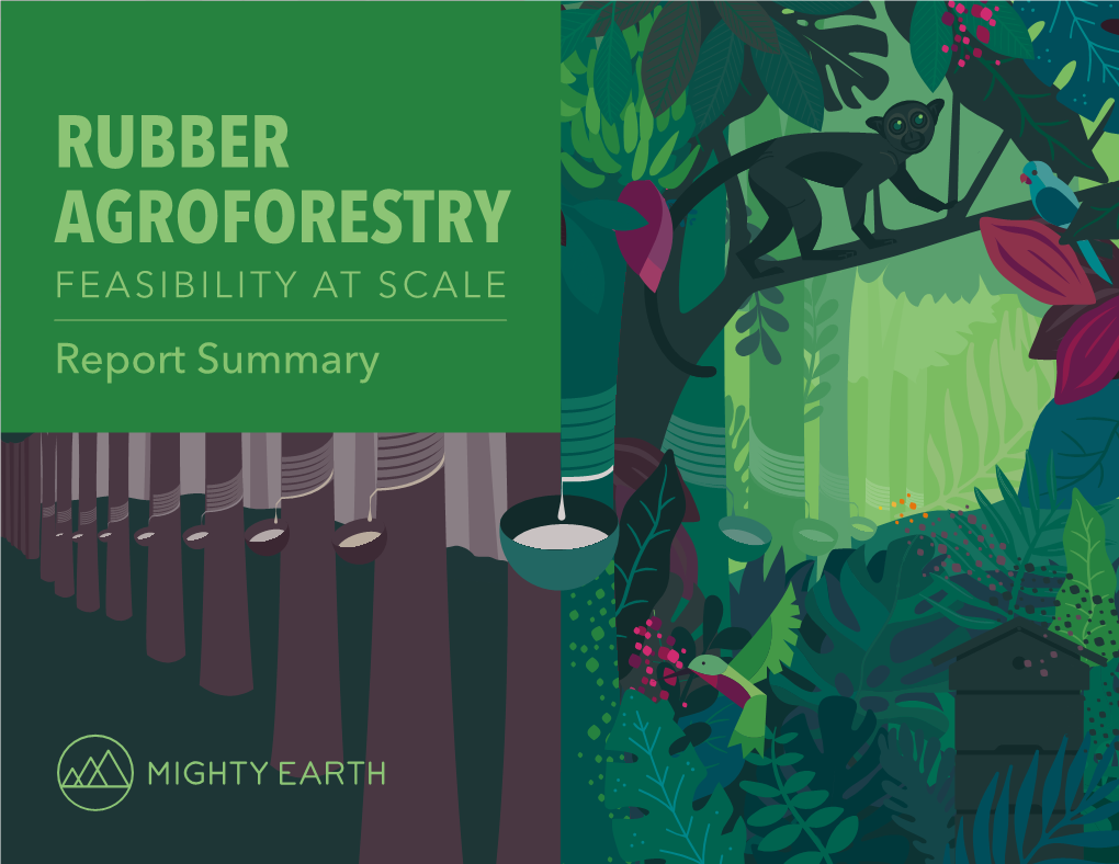 RUBBER AGROFORESTRY FEASIBILITY at SCALE Report Summary
