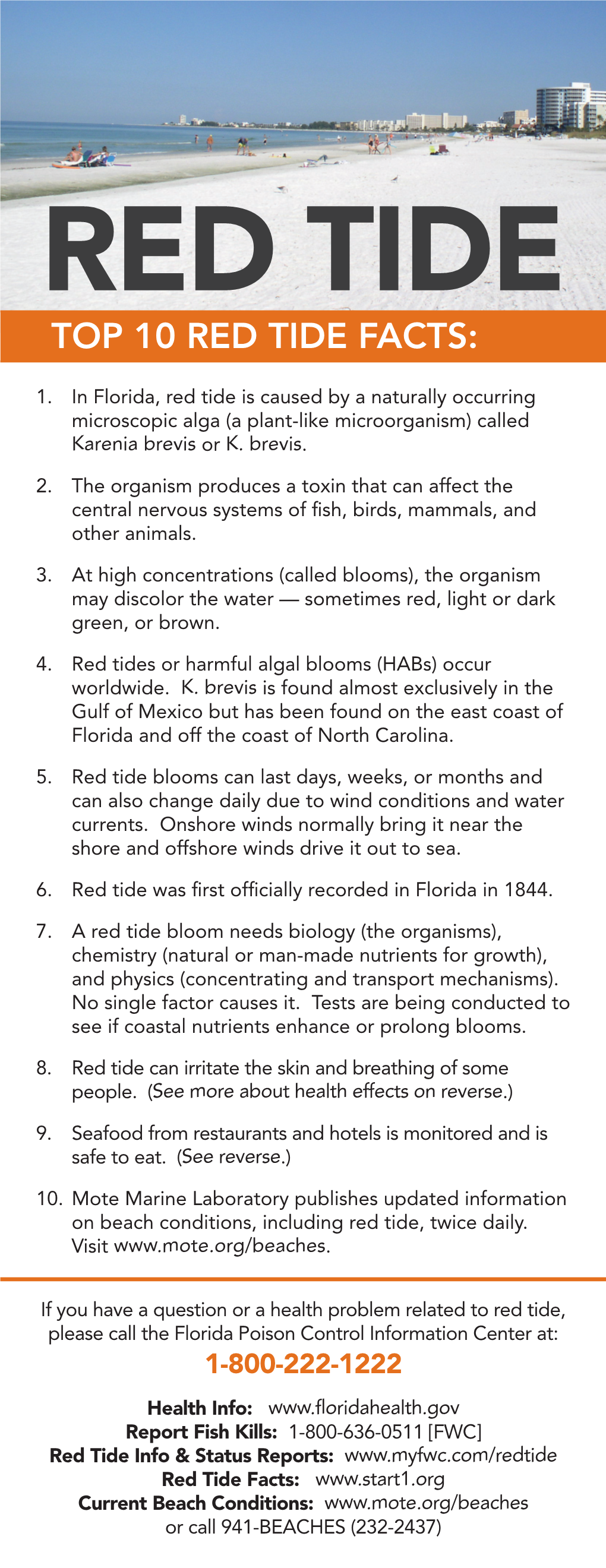 Red Tide Top 10 Red Tide Facts