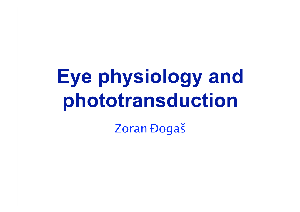 Eye Physiology and Phototransduction