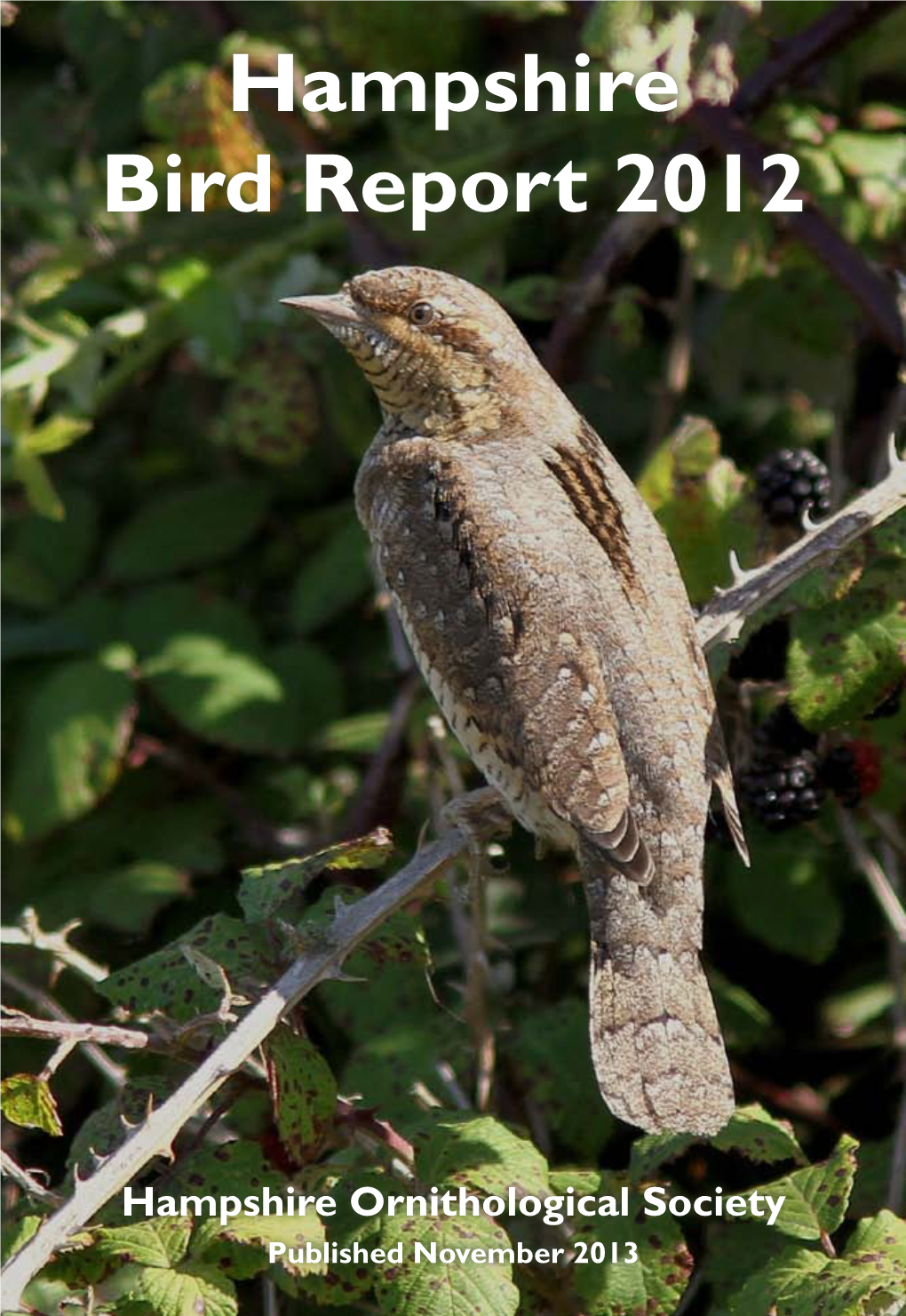 Hampshire Bird Report 2012
