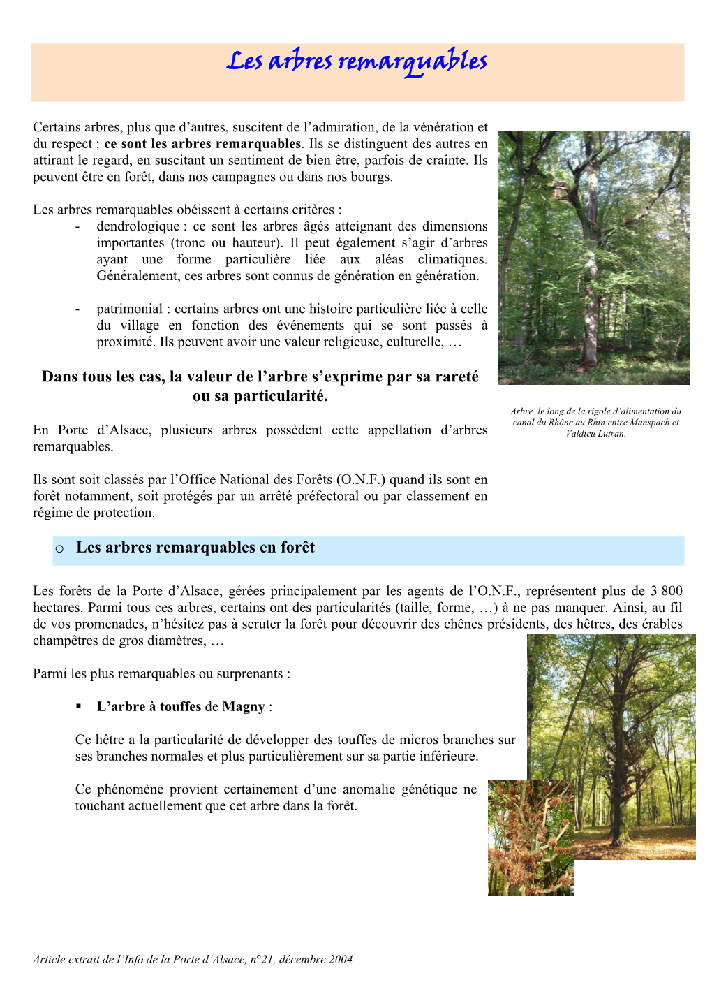 Les Arbres Remarquables