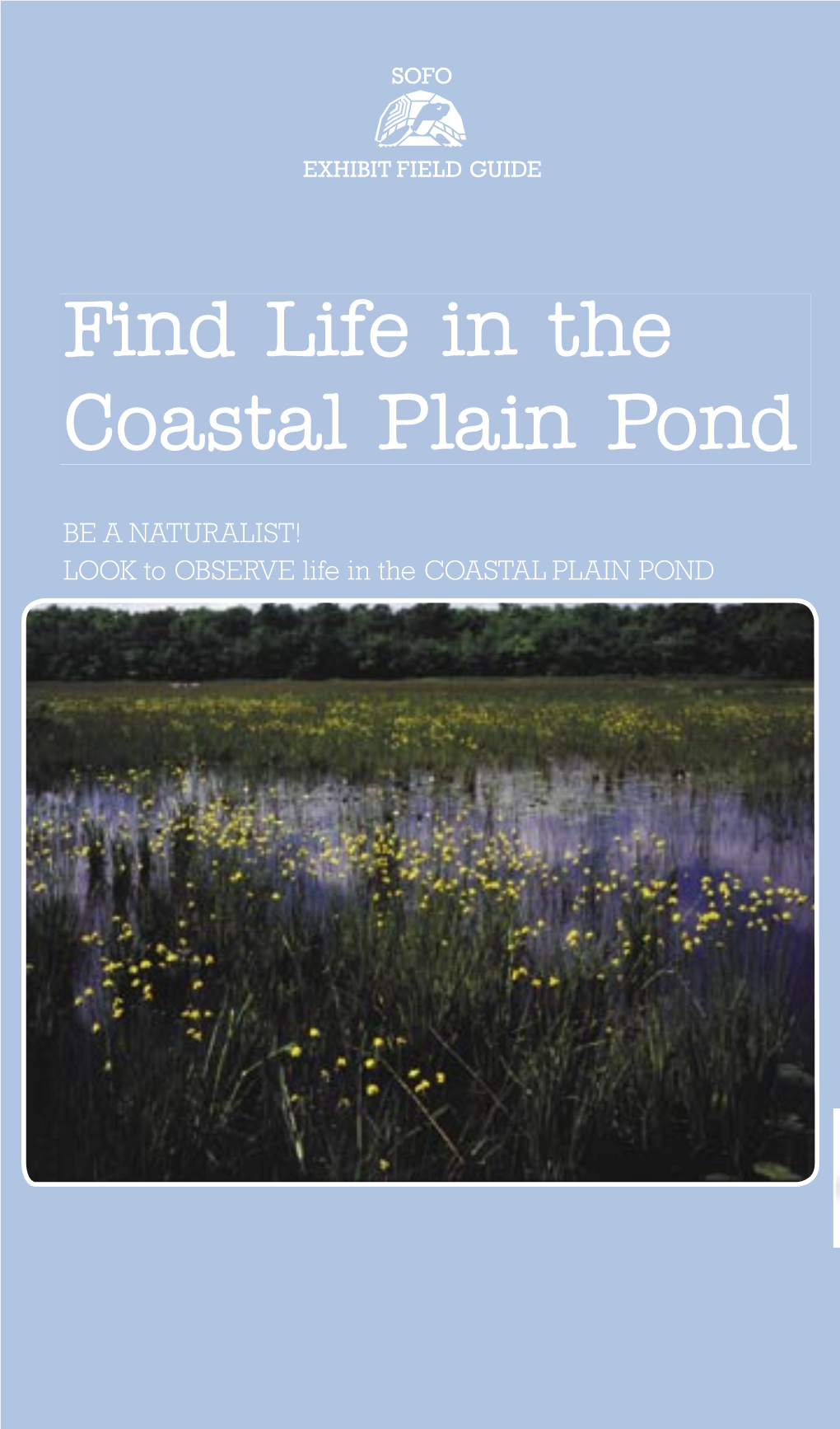 Find Life in the Coastal Plain Pond