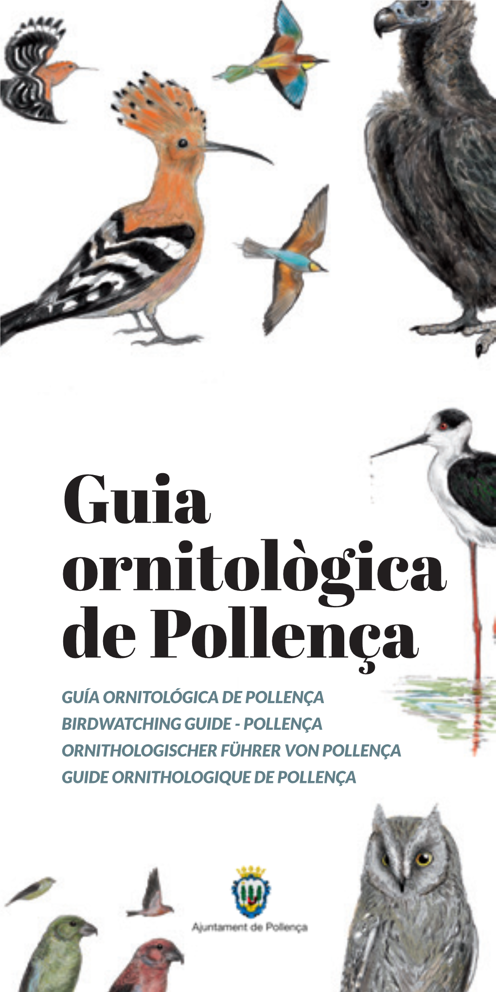 Guia Ornitològica De Pollença