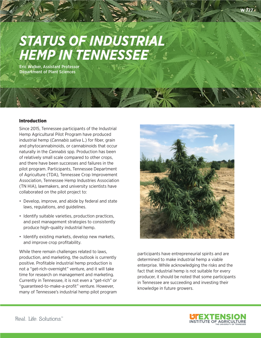 STATUS of INDUSTRIAL HEMP in TENNESSEE Eric Walker, Assistant Professor Department of Plant Sciences