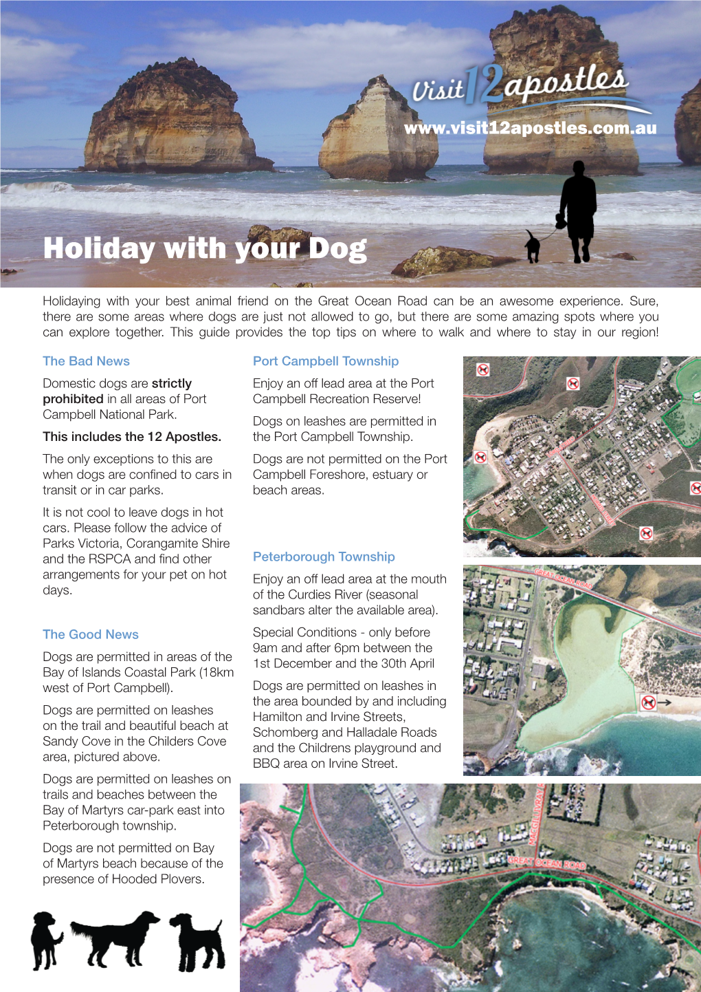 Holiday with Your Dog
