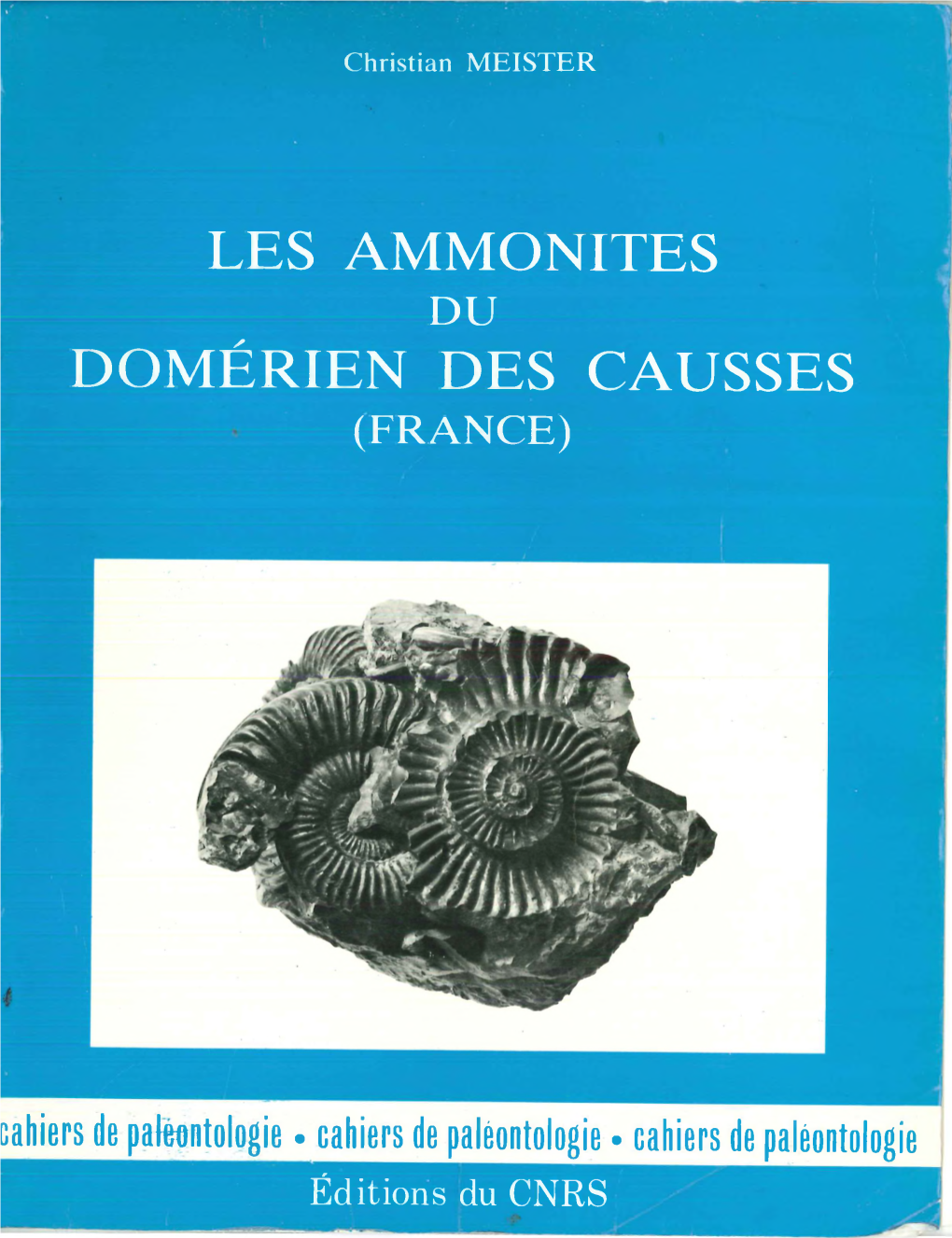 Les Ammonites Domérien Des Causses